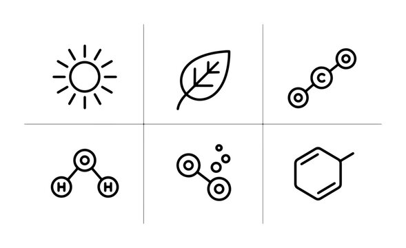 Set of 6 Scientific Icons: Sun, Leaf, Carbon Dioxide, Water Molecule, Oxygen Bubbles, Cyclohexane Ring. Clean Line Art for Chemistry, Biology, and Environmental Concepts.