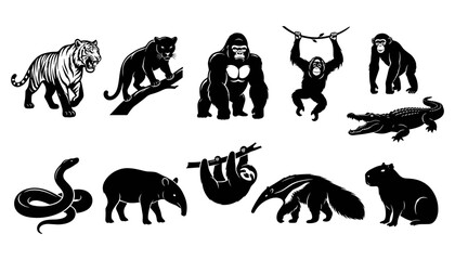 Obraz premium Animals Including Tiger, Panther, Gorilla, Chimpanzee, Alligator, Snake, Anteater, Sloth, Armadillo, and Cat