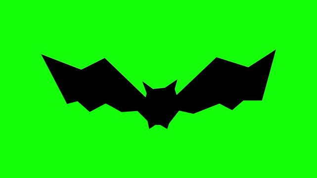 Halloween bat silhouette, spooky icon sign, isolated on green screen. Animated bats scary and cute cartoon. Advertisement, illustration idea, party and celebration symbol. Element for video.