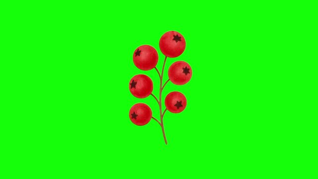 Red berries fruit icon sign, isolated  fruits on green screen. Animated fresh healthy raw food cartoon. Advertisement, illustration idea, organic and natural diet symbol. Element for video.