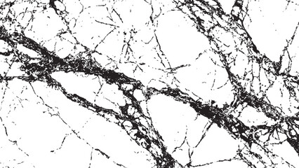 Obraz premium High contrast black and white abstract marble texture background with heavy cracked vein pattern and distressed grunge effect