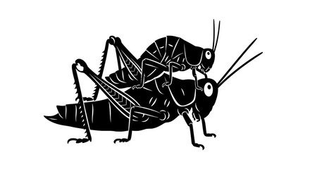 Detailed illustration of a grasshopper insect.