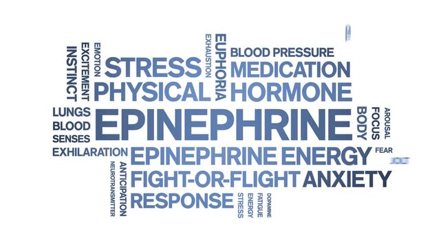 Epinephrine animated word cloud-text design animation tag kinetic typography seamless loop.