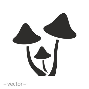 fungus icon, mushrooms or moldy, flat vector illustration