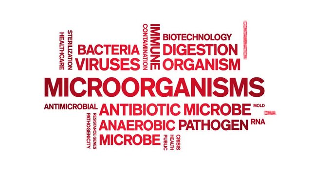Microorganisms animated word cloud-text design animation tag kinetic typography seamless loop.