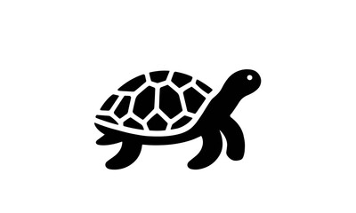 Obraz premium Cute Turtle Isolated on White Background Showing Hard Shell and Natural Reptile Features, Slow Wildlife Pet Animal Concept