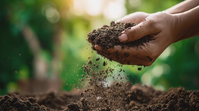 Hands sprinkling soil in a lush environment.