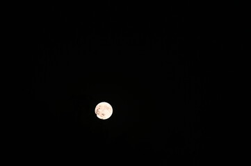moon in the night sky, Bright full moon shining in a clear night sky. © Petra