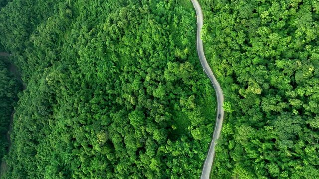 Aerial forest road with car creating abstract background for electric vehicle, ESG, sustainability and green investment business concepts.