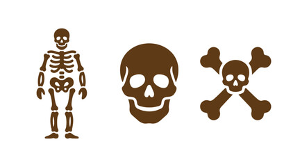 Fototapeta premium Set of skull and crossbones and skeletal anatomy icons with skeleton crossbones skeletal structure illustration isolated education research scientific