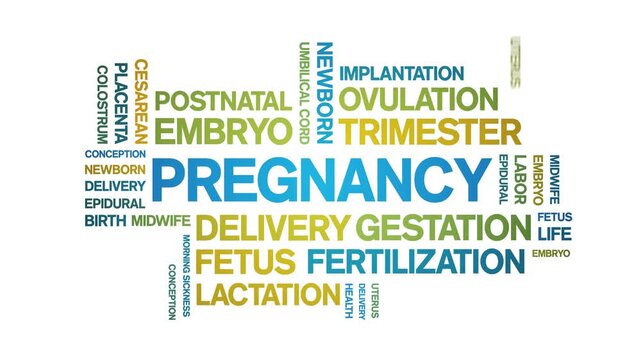 Pregnancy animated word cloud-animation tag kinetic typography seamless loop.