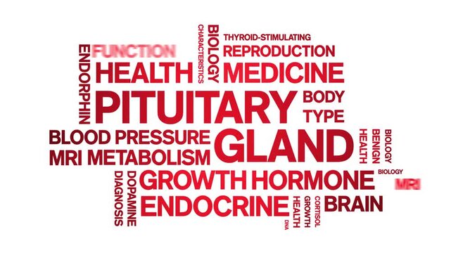 Pituitary Gland animated word cloud-animation tag kinetic typography seamless loop.