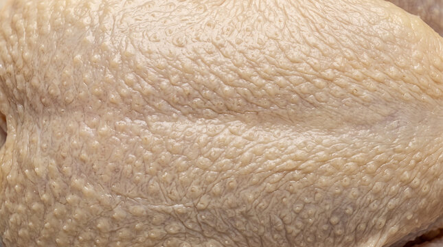Fresh Chicken Skin Texture Background Close Up with Detailed Raw Poultry Surface