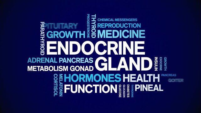 Endocrine Gland animated word cloud-animation tag kinetic typography seamless loop.