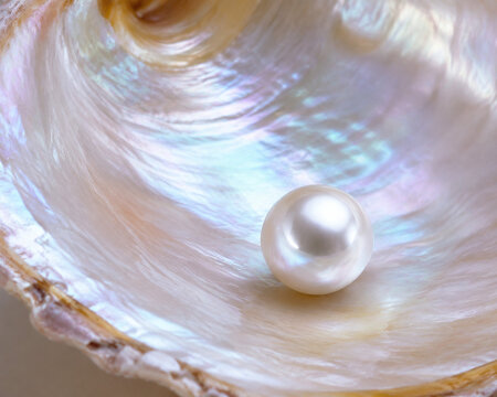 Single Lustrous Pearl Resting on Iridescent Mother of Pearl Shell