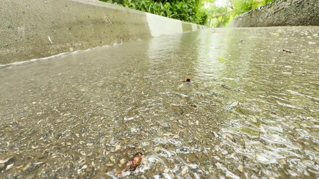 a stream of rainwater flows down a wet asphalt road. The moving water creates a soft splashing and rushing sound.