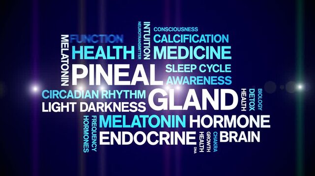Pineal Gland animated word cloud-animation tag kinetic typography seamless loop.