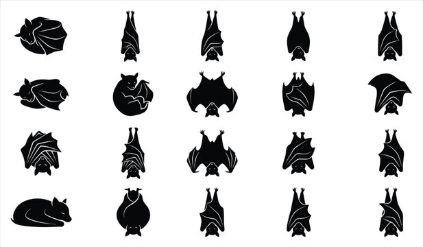 Set of black silhouettes featuring various bats and spooky creatures isolated on white background for halloween holiday design projects