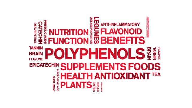 Polyphenols animated word cloud-animation tag kinetic typography seamless loop.