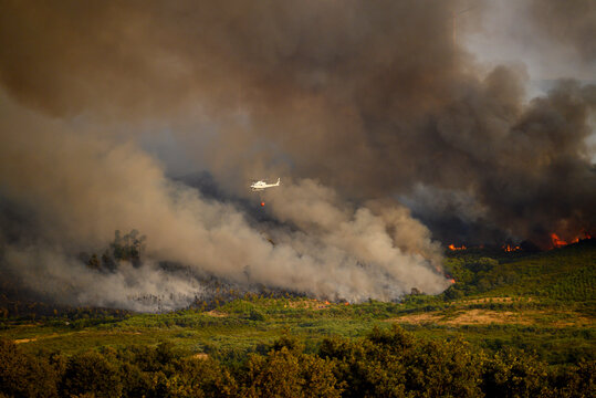 Firefighting helicopter over forest fire The Concept of emergency