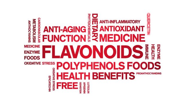Flavonoids animated word cloud-animation tag kinetic typography seamless loop.