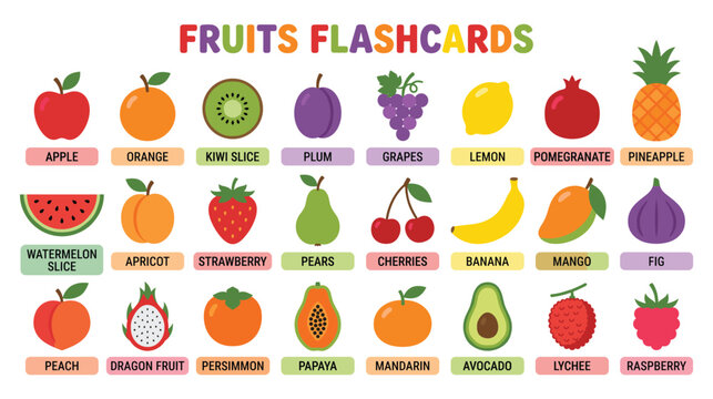 Fruits flashcards educational set with various common and exotic fruits isolated.