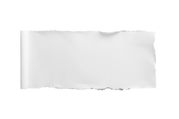 Fototapeta premium Long rolled white paper strip with torn edges isolated on transparent background
