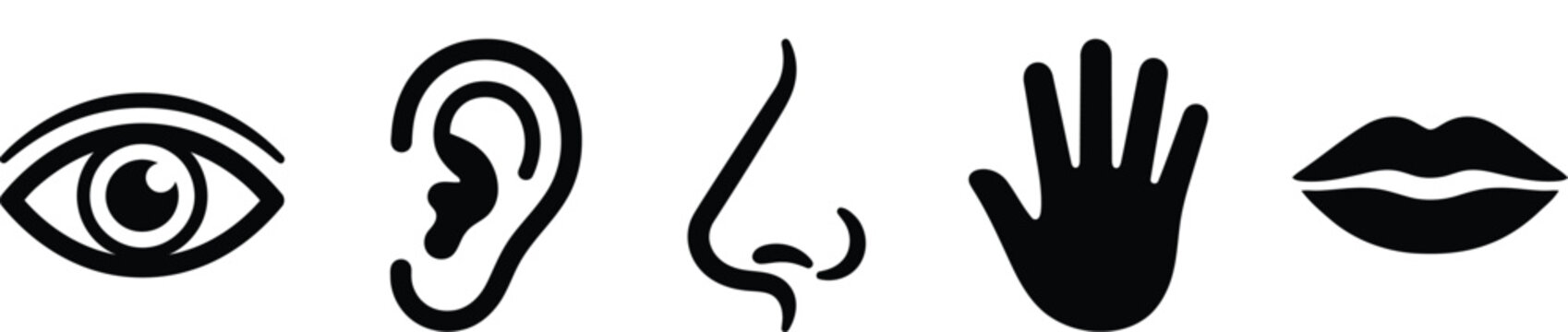 Set of five human sense icons representing sight hearing smell touch and taste on white background