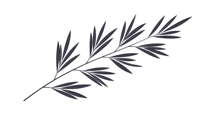 Minimalist drawing of a long thin branch with many small narrow leaves in dark gray ink on a white background for nature design. © Ryan