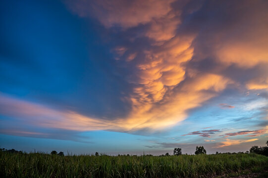 Dramatic Sunset Sky with Golden Mammatus Clouds over Rural Green Field.