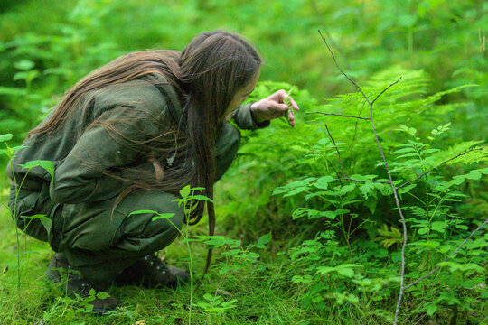 Nature observer examining ferns and plants in lush woodland.