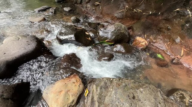 Clear tropical stream flowing over rocks in lush forest 37