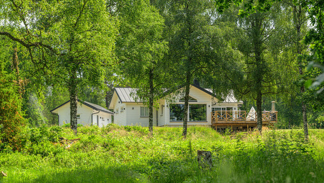 White summer cottage hidden among lush green woodland trees.