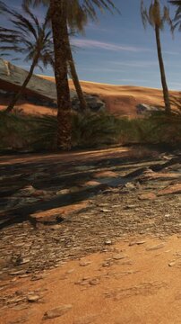 A desert scene shows palm trees swaying in the breeze. The sand dunes rise in the background under a clear sky. Shadows stretch across the ground as the sun sets, creating a warm glow.