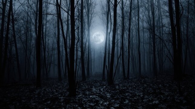 Spooky Misty Forest Under Bright Full Moon