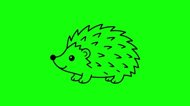 A cute 2D cartoon hedgehog line art outline isolated on a chroma key green background for compositing and video editing.