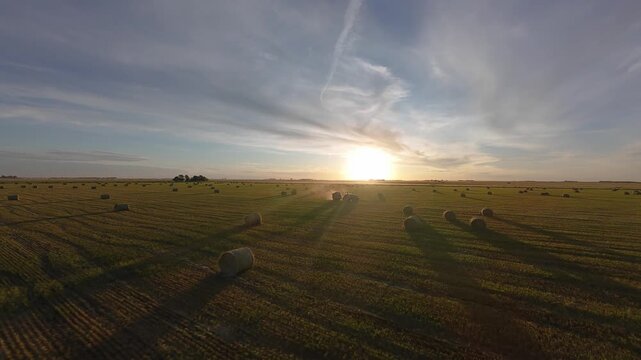 Tractor with baler at sunset. Bales of wheat.