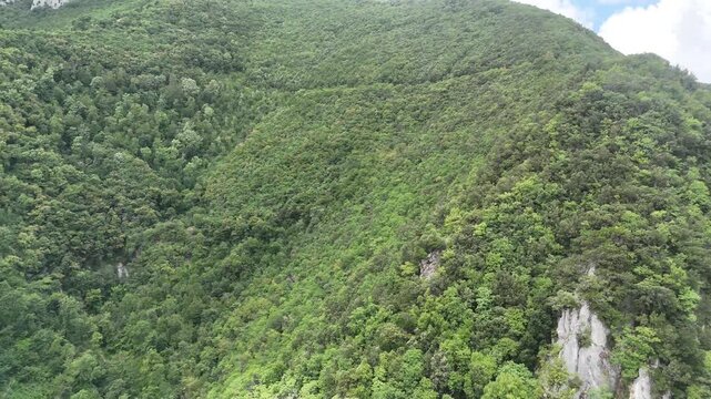 Grande montagna ricoperta da foresta verde con pendii ripidi, crinali naturali e tratti di roccia esposta. Paesaggio luminoso, selvaggio e incontaminato sotto cielo parzialmente nuvoloso