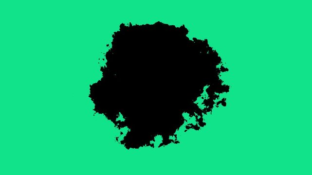abstract black ink blob on green screen. ink stain reveal element for video editing. organic fluid texture graphic. grunge paint splat isolated on chroma key background.
