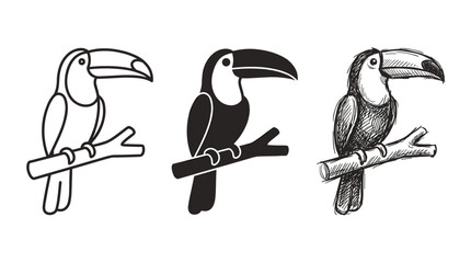 Obraz premium Three toucan icons, each perched on a branch, presented in outline, solid silhouette, and hand-drawn sketch styles, on white