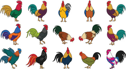 Colorful Rooster Breed Collection with Domestic Chicken Illustrations, Diverse Poultry Varieties, Farm Birds, and Editable Livestock Vector Set © MstSuborna