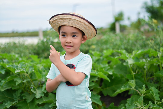 A 4-year-old Asian boy learns organic gardening in a vegetable garden, planning food production and understanding the importance of future food security.