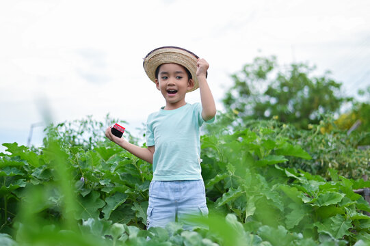 A 4-year-old Asian boy explores an organic vegetable garden, learning to grow healthy food and building awareness of global food security.