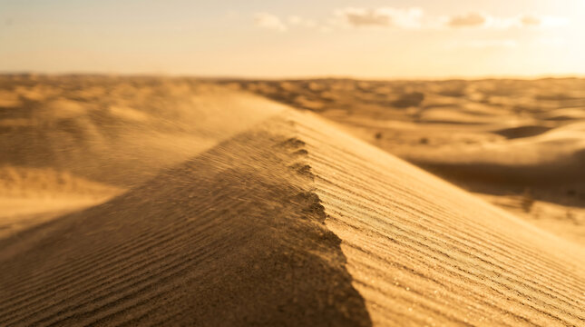 Golden desert dunes stretching towards the horizon under a warm sunset glow