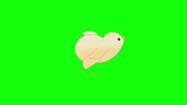 A cute light-yellow cartoon chick with round fluffy body, small wings, yellow beak and big sparkling black eye hops gently in place on a solid bright lime green background in vibrant vector style.