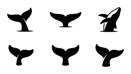 Orca Whale Tail Icons, Killer Whale Fin Vector Graphics, Marine Mammal Silhouette Set © SharikaShammi