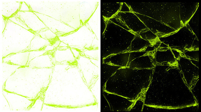 Abstract cracked glass texture in lime green, shattered glass pattern on white and black background, broken glass shards for creative design