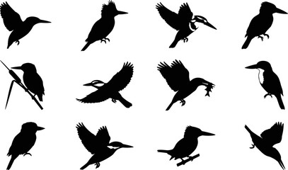 Fototapeta premium Kingfisher bird species icons set flying perching catching fish vector silhouettes