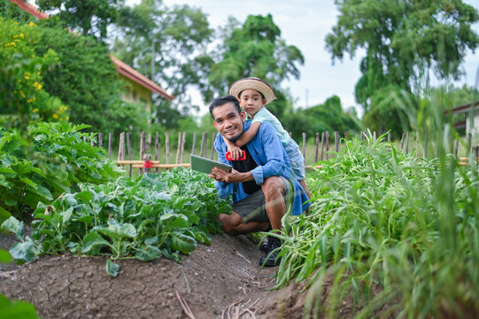 Asian Father and Young Son Using AI Technology in Organic Vegetable Garden Planning Smart Farming for Healthy Food and Future Food Security