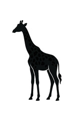 Silhouette of a Giraffe with Distinctive Spots. © Eighth